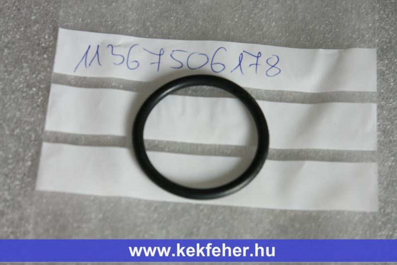 N42-62 vanos solenoid tömítés