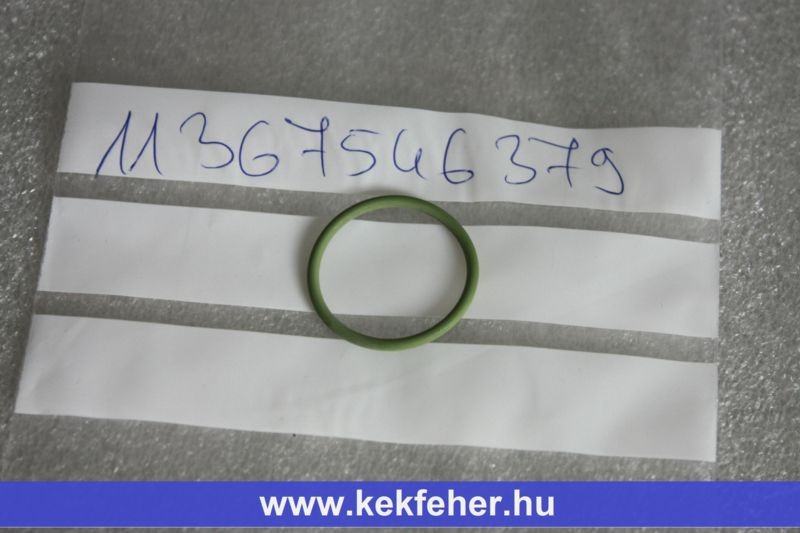 N42-62 vanos solenoid tömítés